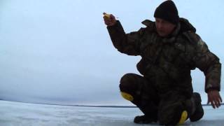 Зимняя ловля плотвы. Или, на Печенеги за плотвой. Winter fishing for roach.
