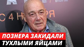 Познера закидали ТУХЛЫМИ яйцами в Грузии (видео)