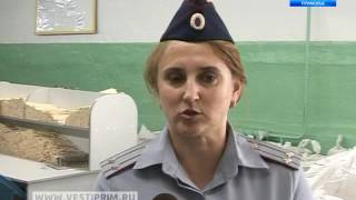 В приморской колонии открыли производство палочек для еды