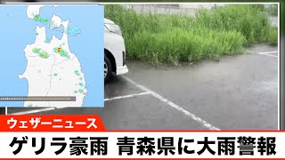ゲリラ豪雨 青森県内の一部では局所的な雨 大雨警報も