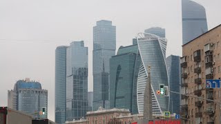 В Москву за картинами и сразу к лайкам