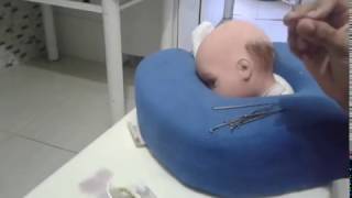 Enraizamento do cabelinho