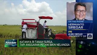 Katanya RI Tanah Surga Tapi Kenapa Anggaran Petani Bikin Nelangsa?