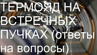 ТЕРМОЯД НА ВСТРЕЧНЫХ ПУЧКАХ (ответы на вопросы)