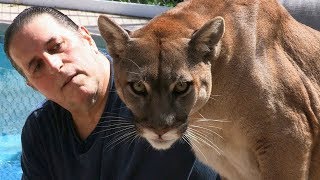 10 НЕОБЫЧНЫХ ДОМАШНИХ ЖИВОТНЫХ #2