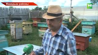 Умартачылар үзенә килгән зыянны саныйлар