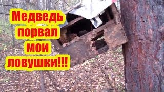 ???ЭТОТ МЕДВЕДЬ МЕНЯ УЖЕ ДОСТАЛ, ЛОВУШКИ ДЛЯ ПЧЁЛ РВЁТ И РАЗРЫВАЕТ