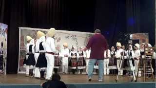 ŠLJIVIK U NEGOTINU - Audicija - igrači
