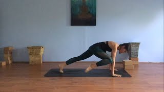 ~30 Minute Full Vinyasa Sequence