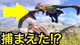 ついにドラゴンを捕獲成功！？リアルドラクエ世界でマイクラ生活！#4【Dark and Light】実況