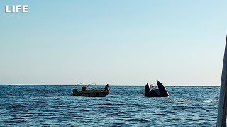 Капитана затонувшего катера в Джубге арестовали