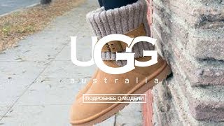 UGG Cambridge | UGG Australia MSK