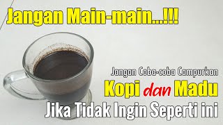 NEKAT MINUM CAMPURAN KOPI DAN MADU SAAT HANGAT-HANGAT KUKU, INILAH EFEKNYA