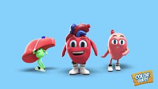 Dance with Your Organs