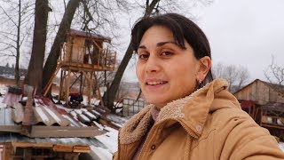 Ремонт...   Гости и гуси на обмен