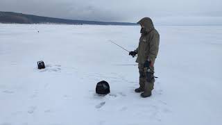 Зимняя рыбалка с флешером в Пензенской области