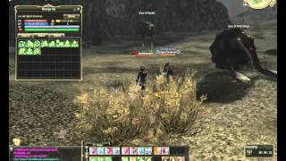 Spirit shaman Lineage 2