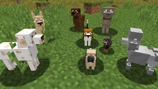 ANDERE SOORTEN HONDEN IN MINECRAFT?!