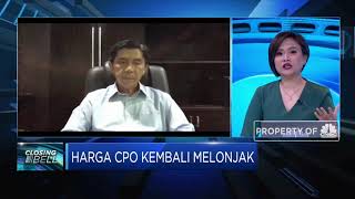 Efisien & Lebih Produktif, Cara Industri Sawit Hadapi Pandemi