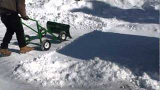 The Snow Bully