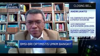 BMSI, Indeks Ancuan Bagi Pengembangan Bisnis UMKM BRI