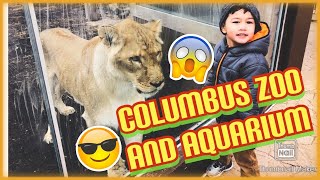 COLUMBUS ZOO AND AQUARIUM WINTER VISIT | LIONESS TRIED TO PEE ON ZAYNE | COLUMBUS ZOO