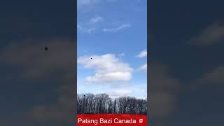 Patang Bazi Canada I Kite Flying Basant Mela in North America subscribe our YouTube Channel