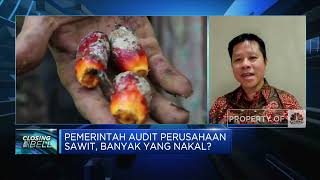 Perusahaan Sawit Bakal di Audit, Pengusaha Minta Pengawasan Data