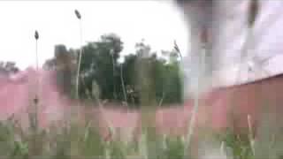 Stupidity - High Heel Man