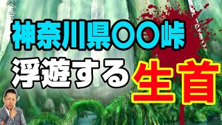 【インタビュー】心霊スポット案内、神奈川県矢櫃峠で浮遊する生首を見た？！　ATL4th38