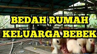 RUMAH LAMA RASA BARU. PERBAIKAN KANDANG UNTUK BEBEK ENTOK, ANGSA / SOANG. PETERNAK PEMULA.