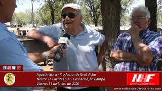 31-01-20 - Agustín Bassi - Productor   Nestor Hugo Fuentes S A    GraL Acha L P