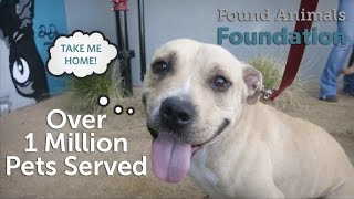 Michelson Found Animals Foundation: Over 1 Million Pets Served