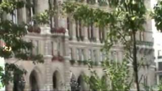 Viena Rathaus