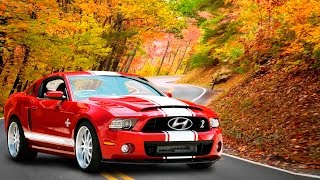 Hyundai Accent Mustang Shelby GT