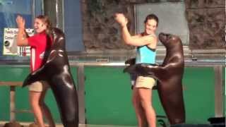 MAH04321.MP4.Santas Echantes Fores 18
