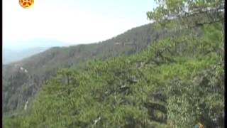 დედოფალი თეოდორა