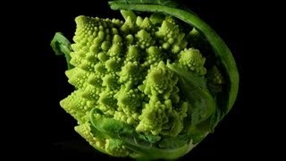 Butterflies, Chaos and Fractals - Professor Raymond Flood