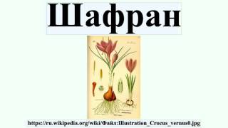 Шафран