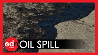 Oil Spill WRECKS Southern California Ecosystem