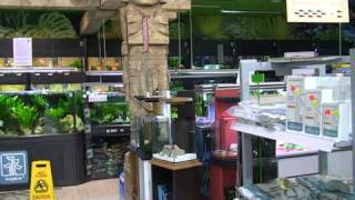 Kolle Zoo, зоомаркет в Германии, обзор.