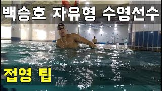 SHC 수영강습_백승호 선수 접영 팁
