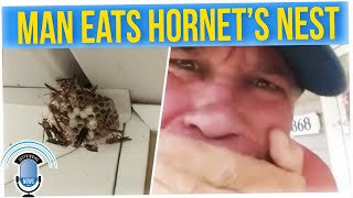 Man Grabs Hornets’ Nest With Bare Hands & Eats It (ft. Anthony Lee)