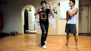 TriEssence Basic Yiquan Punches