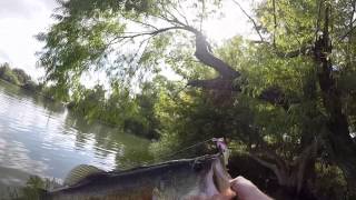 river2sea spittin wa bass part2 nothin but big bass
