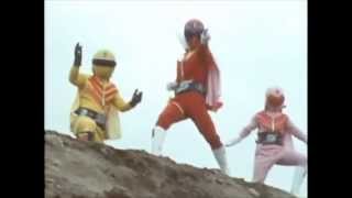 Tajima Hal - Grape Choice