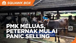 PMK Meluas, Peternak Mulai Panic Selling