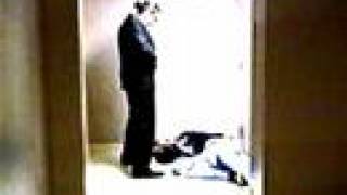 Phidippus - Squirt