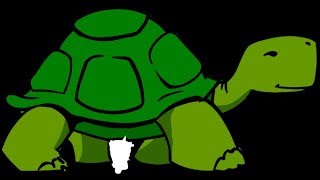 Intro to ze turtle realm