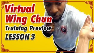Virtual Wing Chun Training Preview - Lesson 3